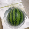 正宗麒麟西瓜薄皮8424冰糖麒麟瓜當季應季超甜有籽脆甜新鮮水果 凈重8-9斤 脆甜多汁一個(gè)瓜 曬單實(shí)拍圖