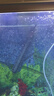 磬水亞硝酸鹽氨氮試劑PH試劑余氯硬度快速測試劑水族魚(yú)缸養殖水質(zhì)檢測 【推薦】pH+亞鹽+氨氮+余氯 曬單實(shí)拍圖