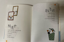 風(fēng)來(lái)自你的方向  隔花人著(zhù) 大綿羊BOBO插畫(huà) 散文集  小狗文學(xué) 生活感悟詩(shī)集散文插畫(huà) 可愛(ài)治愈催淚 曬單實(shí)拍圖