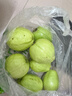 京鮮生白心芭樂(lè )凈重4.5斤單果150g+ 番石榴 脆果 新鮮水果源頭直發(fā)包郵 曬單實(shí)拍圖