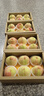 京鮮生 山東童年旱黃瓜 凈重5斤 單果100g+ 水果小青瓜 輕食 源頭直發(fā) 曬單實(shí)拍圖