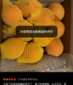 新奇士（Sunkist）澳大利亞藍(lán)標(biāo)臍橙 7斤禮盒裝 單果180g起 新鮮水果 中秋禮盒 曬單實(shí)拍圖