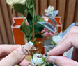 紀(jì)思梵輕奢情侶戒指男女款高級(jí)求婚對(duì)戒女周年紀(jì)念日生日禮物送女友老婆 偏愛情侶對(duì)戒【定制刻字】 曬單實(shí)拍圖