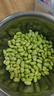 新鮮青毛豆現摘帶殼毛豆鮮嫩毛豆角農村自種蔬菜應季青毛豆 新鮮精品-帶殼毛豆-1斤 曬單實(shí)拍圖
