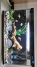 米家（MIJIA）智能生態(tài)魚(yú)缸還原自然生態(tài)智能魚(yú)缸+米家生化濾芯 曬單實(shí)拍圖