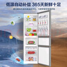 海爾冰箱家用三開(kāi)門(mén)風(fēng)冷無(wú)霜雙開(kāi)門(mén)超薄一新等級能效冰箱小型小冰箱制冰冷柜以舊換新冰箱補貼 219升三門(mén)節能微霜冰箱金色三門(mén)三溫 曬單實(shí)拍圖