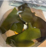 福建霞浦鹽漬海帶頭新鮮特厚昆布無(wú)沙高泡發(fā)低鹽火鍋炒菜商用批發(fā) 鹽漬海帶頭3包1500g 曬單實(shí)拍圖
