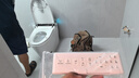 JOMOW智能馬桶全自動(dòng)清洗加熱烘干一體機無(wú)水壓限制帶水箱語(yǔ)音泡泡坐便 JOQ6頂配-語(yǔ)音泡泡+無(wú)水壓限制 250/300/350/400拍下備注坑距 曬單實(shí)拍圖