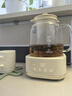 World Kitchen康寧養生壺全玻璃恒溫壺家用多功能辦公室煮茶器燒水壺花茶 1.2L山姆升級款【玻璃壺+茶漏+燉盅】 曬單實(shí)拍圖
