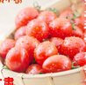 京鮮生＆隴小番 釜山88玲瓏小番茄單果6g起凈重2斤(500g*2盒) 源頭直發(fā) 曬單實(shí)拍圖
