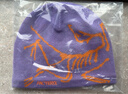ARC'TERYX始祖鳥(niǎo) BIRD HEAD TOQUE 男女同款 絨線(xiàn)帽 ASTER / BLAZE/山菀紫/明焰橙 均碼 曬單實(shí)拍圖