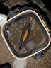 川澤孔雀羽浮漂高靈敏醒目輕口鯽魚(yú)漂黑坑競技浮標穩定羽毛魚(yú)漂YD06-1 曬單實(shí)拍圖
