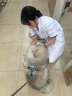 衛仕 寵物乳鈣片約400片 狗狗鈣片泰迪金毛幼犬鈣粉大型犬健骨補鈣 曬單實(shí)拍圖