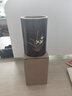 弘梅 黃銅木韻筆筒 創(chuàng  )意黑檀木大容量書(shū)法毛筆收納擺件 文房四寶高顏值書(shū)房桌面用品 幽蘭筆筒 曬單實(shí)拍圖
