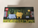 樂(lè )高（LEGO）積木拼裝10349 快樂(lè )盆栽男孩女孩兒童玩具生日禮物 曬單實(shí)拍圖
