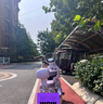 雅迪【王鶴棣推薦】摩登萊茵 電動(dòng)自行車(chē) 女士復古高顏值通勤代步智能電動(dòng)車(chē)【門(mén)店自提】 顏色到店自選 曬單實(shí)拍圖