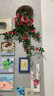 仿真薔薇花壁掛裝飾綠植陽(yáng)臺墻面裝飾掛件遮丑壁飾創(chuàng  )意立體 主圖款 曬單實(shí)拍圖