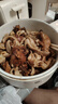 蘇食黑豬豬肚凈重1斤 豬肚生鮮預制菜熟食豬肚雞豬肚絲半成品火鍋食材 曬單實(shí)拍圖