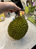 趣嘗鮮貓山王榴蓮馬來(lái)西亞D197液氮冷凍凈重3.2-3.6斤/個(gè) 曬單實(shí)拍圖