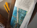 四季常青金魚(yú)花吊蘭盆栽室內綠植花卉多肉植物發(fā)財樹(shù)好養易活客廳 金魚(yú)吊蘭【整盆20-30顆】原盆土 曬單實(shí)拍圖