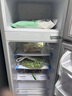 志高電冰箱雙門(mén)家用節能冰箱出租屋冷藏冷凍環(huán)保迷你冰箱辦公室公寓租房宿舍低噪電冰箱 S192銀色一級能效【萬(wàn)人推薦】 曬單實(shí)拍圖