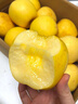 甜萌果蔬山東維納斯蘋(píng)果黃金奶油富士牛奶黃蘋(píng)果新鮮水果禮盒中秋送禮 5斤6A精選裝【單果約70mm+】?jì)糁?.5斤 曬單實(shí)拍圖