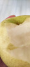 （當季采摘）正宗碭山青皮翠玉蜜梨 細膩化渣薄皮清甜 啟程 帶箱5斤（爆款力薦） 曬單實(shí)拍圖