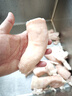 生牛腸新鮮肥腸牛大腸牛小腸牛雜韓式牛腸燒烤火鍋食材大腸 3斤牛大腸 曬單實(shí)拍圖