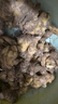 產(chǎn)地直發(fā)云南小黃姜新鮮生姜黃姜調味料新鮮蔬菜生鮮 3斤 裝 曬單實(shí)拍圖