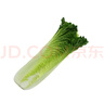 青麻葉大白菜1.2kg 曬單實(shí)拍圖