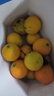 城南堡花四川大涼山愛媛38號果凍橙 新鮮橙子水果柑橘現(xiàn)摘 精品大果凈果4.5斤（70-75mm） 曬單實拍圖