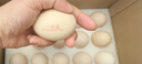 牧族可生食新鮮雞蛋NSF認證無(wú)抗生素 可生食30枚 曬單實(shí)拍圖
