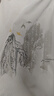 HLA海瀾之家短袖T恤男25山不在高印花圓領(lǐng)涼感短袖男夏 曬單實(shí)拍圖