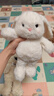名創(chuàng  )優(yōu)品（MINISO）吉梨尼尼乖乖坐姿公仔毛絨玩具玩偶娃娃抱枕小狗娃娃生日禮物女 曬單實(shí)拍圖