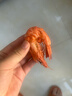 靈略九節蝦干即食烤蝦干大蝦干 凈重500g 原味對蝦干 零食 海鮮干貨 曬單實(shí)拍圖