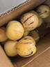 正宗云南人參果圓果樹(shù)上熟人生果新鮮水果當季孕婦新鮮大果整箱 特惠3斤裝【單果50-80g】?jì)糁?.5斤 曬單實(shí)拍圖