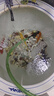 坤寧王魚用土霉素魚藥爛尾爛肉腸炎烏龜白眼病藥專用腐皮爛甲水族藥劑 曬單實拍圖