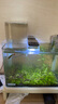 海諳亞克力負壓魚(yú)缸造景生態(tài)小型裝飾水族箱客廳斗魚(yú)家用創(chuàng  )意斗魚(yú)缸 加厚高清負壓魚(yú)缸（加固支架）10*10*15 曬單實(shí)拍圖