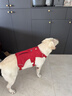 拉夫威爾汪大師狗狗胸背帶ruffwear大型犬金毛柴犬寵物狗繩牽引繩狗背帶 峽谷紅 L/XL 曬單實(shí)拍圖