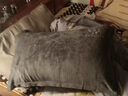 南極人（Nanjiren）牛奶絨枕頭套和枕芯一套男帶枕套一對家用女睡眠整頭學(xué)生宿舍 英倫灰 【雙面加絨刺繡款】 48cm *74cm【枕套1只+枕芯1個(gè)】 曬單實(shí)拍圖