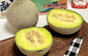 京鮮生蜜蜂授粉牛三蜜瓜網(wǎng)紋瓜凈重4.5-5斤 2-3粒 中秋禮品源頭直發(fā) 曬單實(shí)拍圖