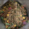 咪貝萌 龍貓糧主糧飼料龍貓糧食營(yíng)養零食寵物用品馬祖瑞配方果蔬糧 龍貓糧（2.5KG） 收藏優(yōu)先發(fā)貨 曬單實(shí)拍圖