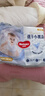 好奇（Huggies）金裝紙尿褲S120片(4-8kg)尿不濕【速干不易紅】 曬單實(shí)拍圖