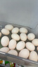 綠田逐 新鮮農家精選 初生鴿子蛋白鴿蛋 寶寶蛋30枚 450g源頭直發(fā) 曬單實(shí)拍圖