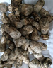 土地母親計劃 雅江松茸菌未開(kāi)傘新鮮松茸鮮菌菇冷鏈空運快至24H達團購禮盒 出口級未開(kāi)傘 5-5.8cm 凈重500g 曬單實(shí)拍圖