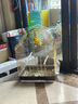 茨格曼 鸚鵡站架鳥(niǎo)籠配件 花椒木磨爪棒八哥鷯哥畫(huà)眉鳥(niǎo)用站桿中大型鳥(niǎo) 曬單實(shí)拍圖