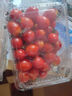 基地直發(fā)新鮮圣女果小番茄 1斤 曬單實(shí)拍圖
