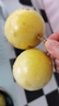 京鮮生 欽蜜9號黃金百香果 5斤單果90g+ /20-30個(gè) 生鮮水果 源頭直發(fā) 曬單實(shí)拍圖