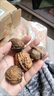 【6.6w 人收藏25年新貨】云南百年純古樹(shù)丑核桃高山野生薄皮孕婦 云南古樹(shù)老品種薄皮核桃5斤 薄皮生態(tài)果精品果（留言送夾） 曬單實(shí)拍圖