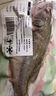太湖?！緹o(wú)抗或有機認證 淡水鱸魚(yú)】孕婦嬰兒童食輔 鮮活三去魚(yú)類(lèi)水產(chǎn) 【有機】鱸魚(yú) 200g*6條 曬單實(shí)拍圖